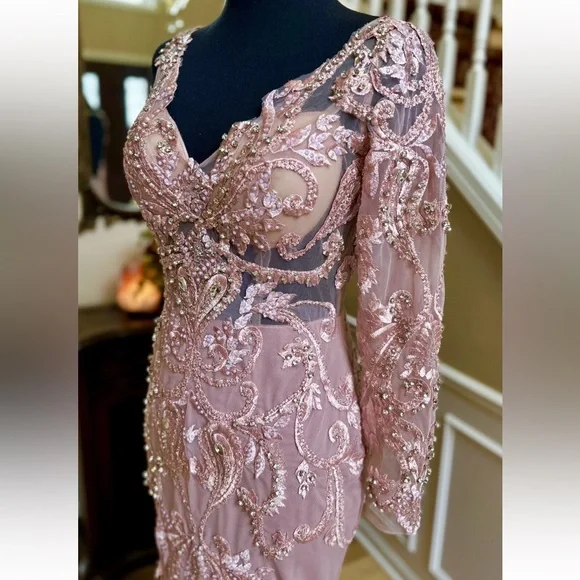 Portia and Scarlett Blush Long Sleeve Feather Fringed Embroidered Gown Size 6 - Picture 8 of 16